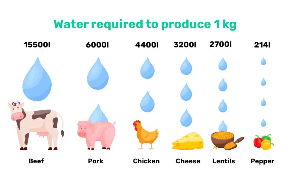 woda potrzebna do wyprodukowania 1 kg